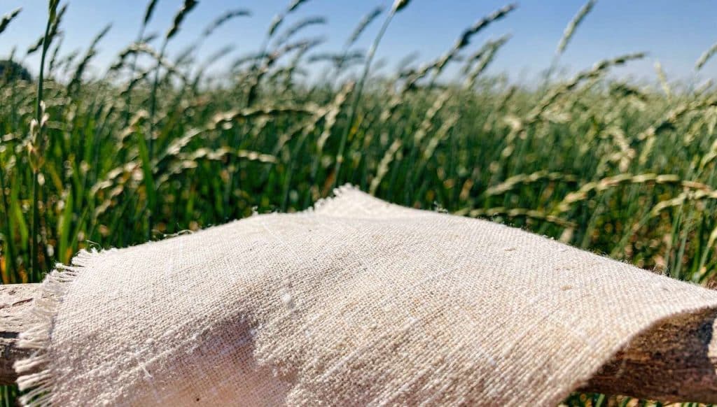 Lin : découvrez cette matière textile durable