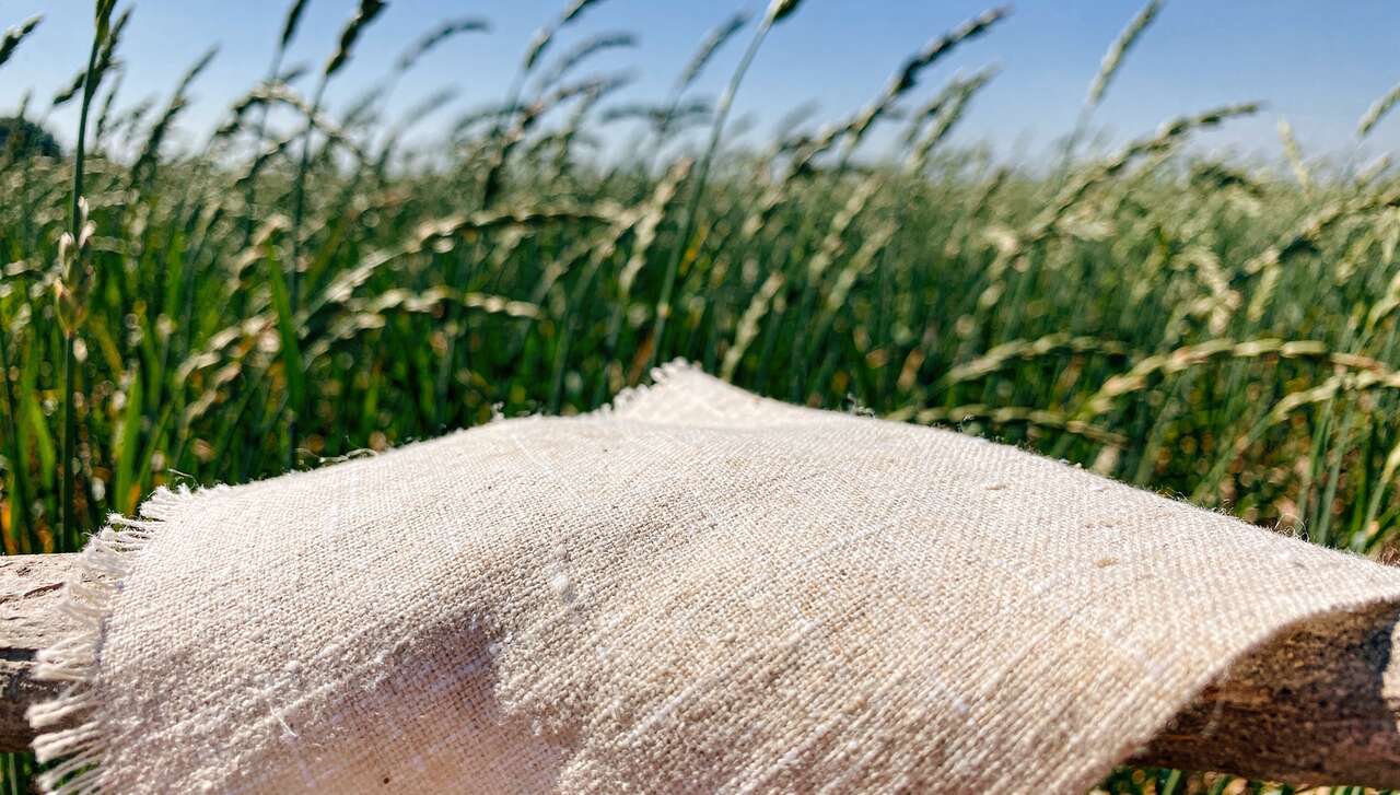 Lin : découvrez cette matière textile durable
