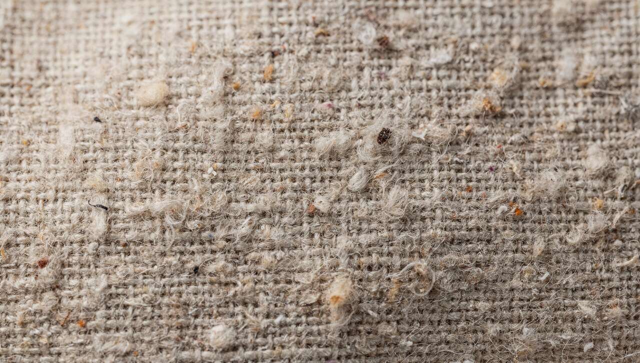 Vers une mode durable avec le lin recyclé