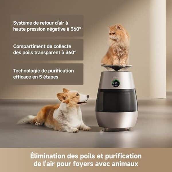 Découvrez notre test du purificateur d'air Dreame AP10 : performance anti-odeurs, élimination des poils et avis détaillé pour un air pur à la maison. 