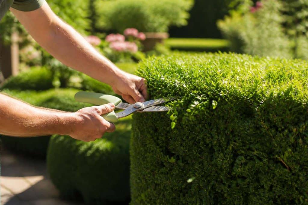 Astuces pour dégarnir les angles efficacement