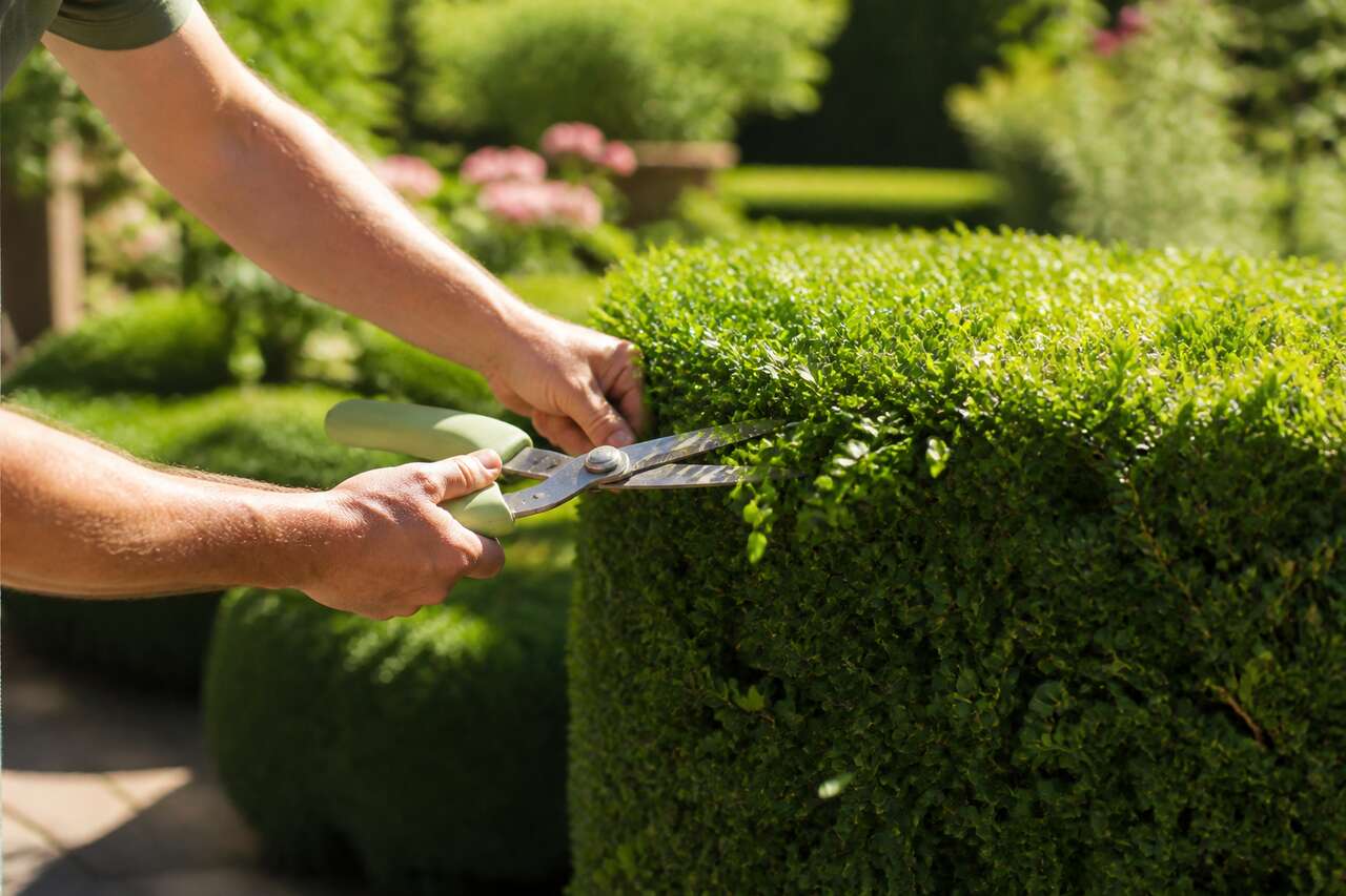 Astuces pour dégarnir les angles efficacement
