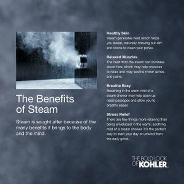 Découvrez notre test détaillé du générateur de vapeur 253t Invigoration série control kit chrome poli : performances, avantages et verdict d'expert pour bien choisir. 